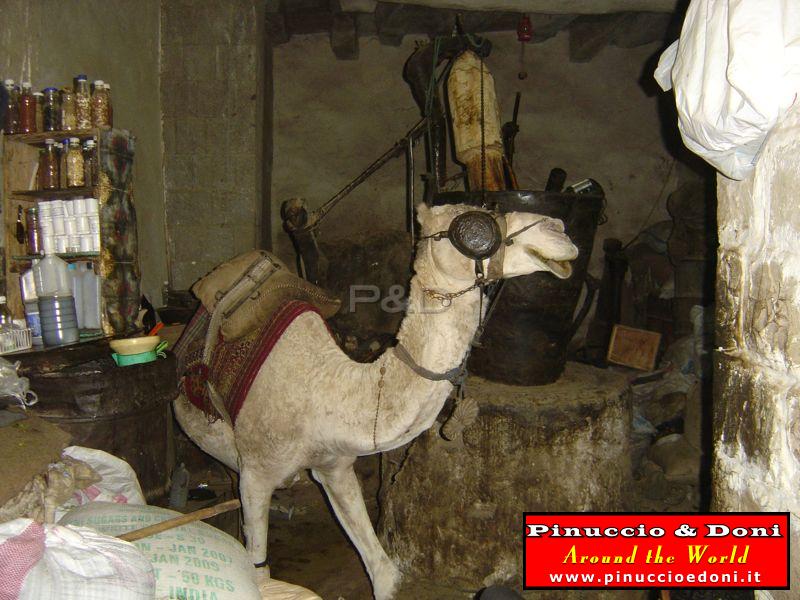 Yemen - Sana'a - 079.jpg